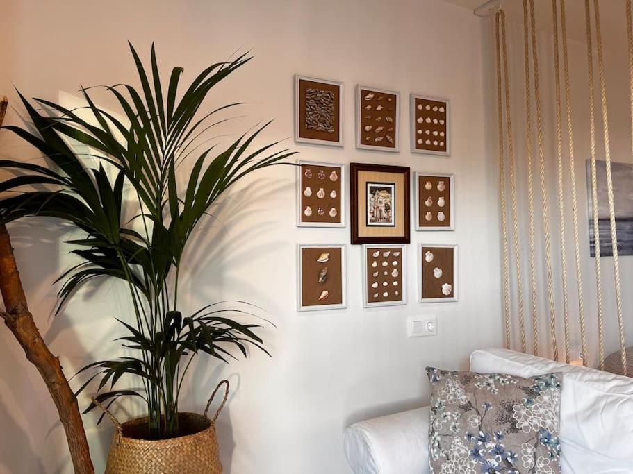 Ocean Dream Apartments - Lovely Sea View Studio Apartment 5Min From Beach San Marcos  Exteriör bild